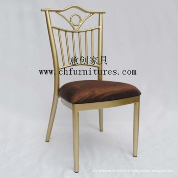 Mobilier de chaise de banquet luxueux (YC-B102)